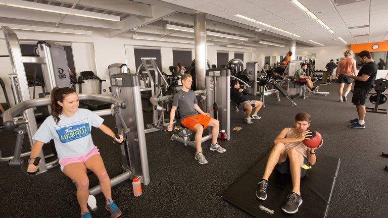 students using gym equipment